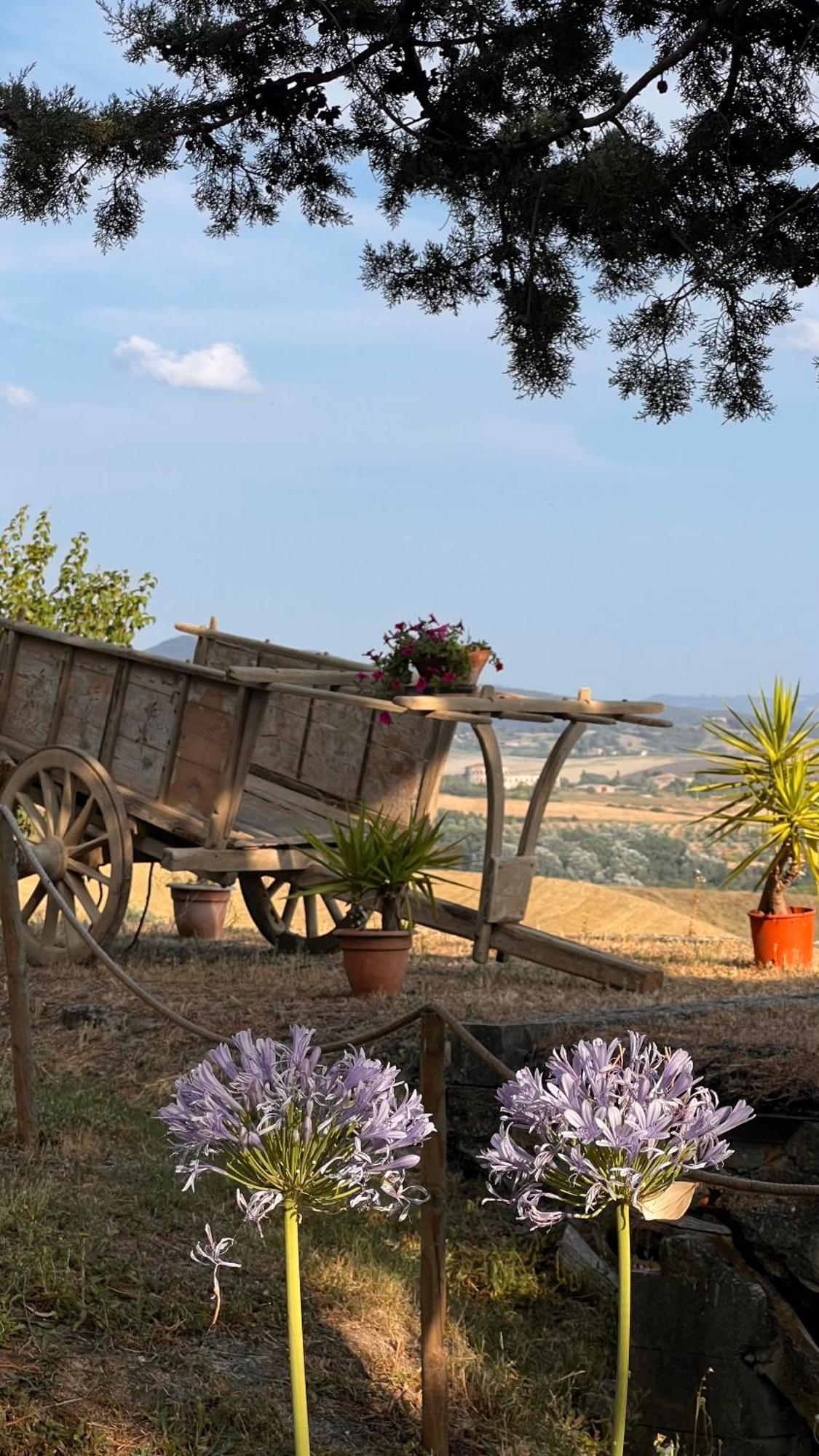 Agriturismo Casallario Вольтерра Экстерьер фото