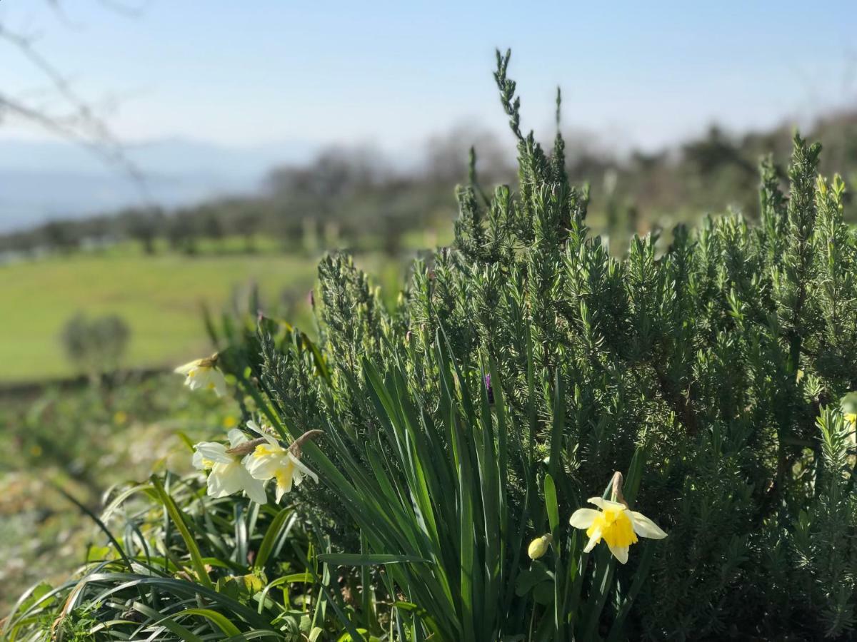 Agriturismo Casallario Вольтерра Экстерьер фото